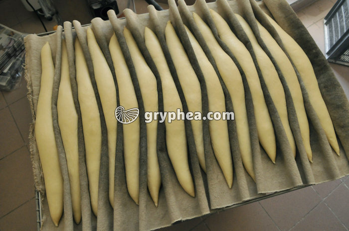 Fabrication du pain - Pâtons sur toile après la deuxième fermentation (apprêt) - gryphea.com